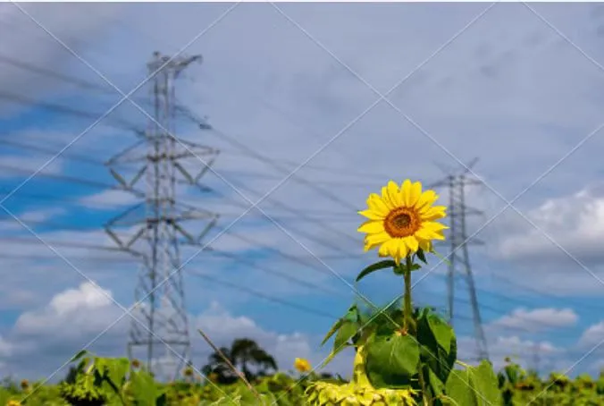 Smart Energy Management Smart Energy Management